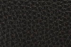 金刚-005