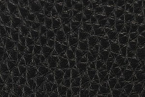金刚-010